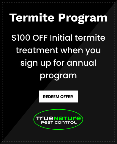Termite Program